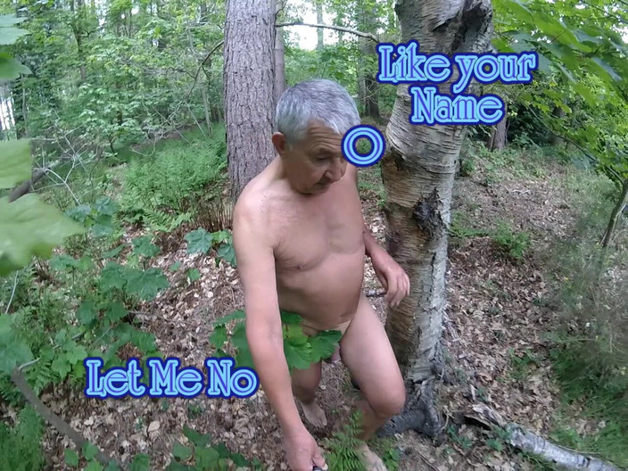 Andy: Yürüyüş 24 2025