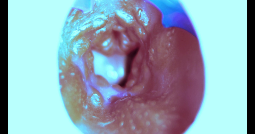 SEXY_GUYBEST: なんて中からヤリまくるんです!カメラが中!