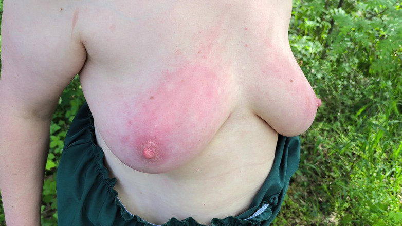 Bouncy Tits Action: Red Breasts in the Forest