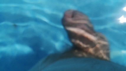 Monster_Meat_: A walk in the pool naked version