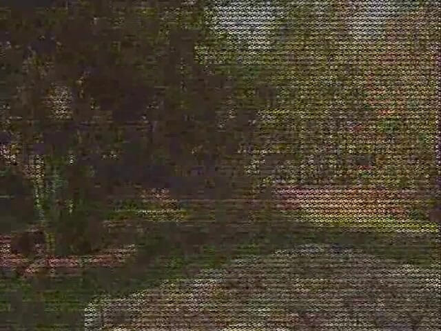 Eleganxia: Дружини одні вдома: дружина No172