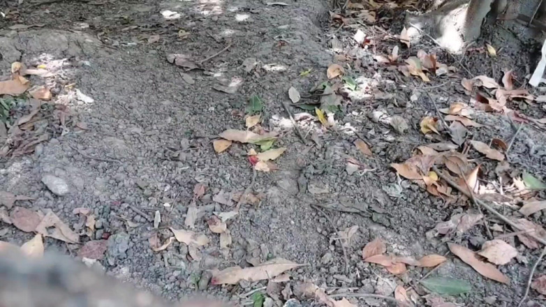 Kitty_Cross: あなたのお気に入りの罪悪感のある楽しみ