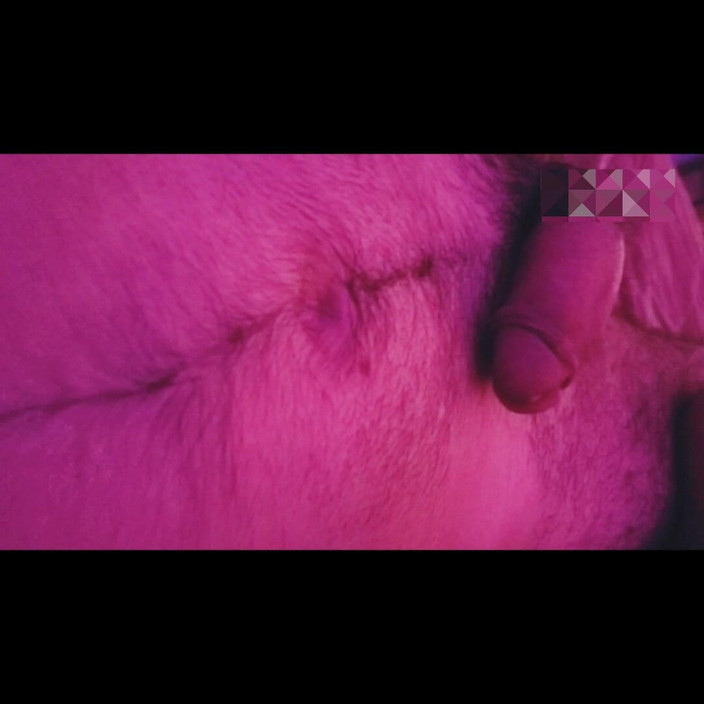 Julian Shul: Pelacur jalang membuat saya meniduri dia menjerit dengan zakarnya di...