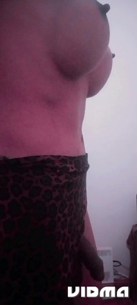 Polla Grande Lara-transexual