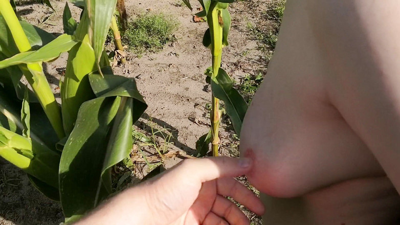 Bouncy Tits Action: トウモロコシ畑で私を叩く