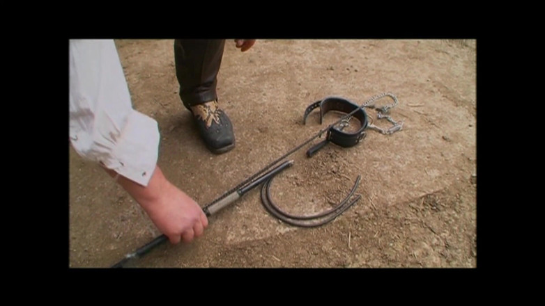 Bizzarre World: 奴隶熟女被熟女绑住并顺从的束缚色情片