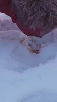 女主调教。两个丰满的女人在雪地上裸体撒尿，然后让一个裸体男人舔黄雪。