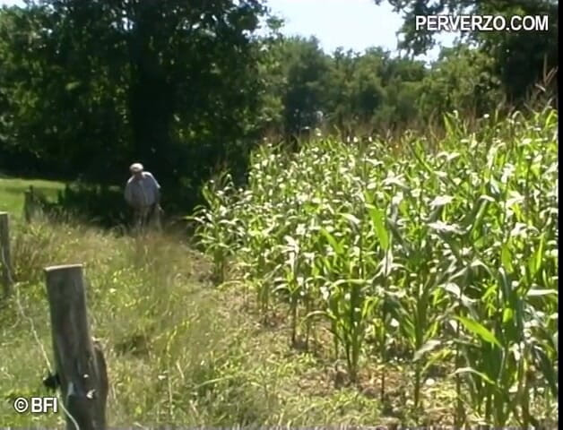 Experienced Men in Control: Threesome in the cornfield