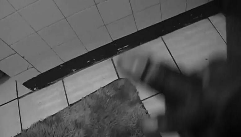 Masks couple: Jamajský penis