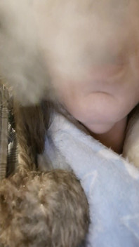 This Cold Makes the Smoke Stronger