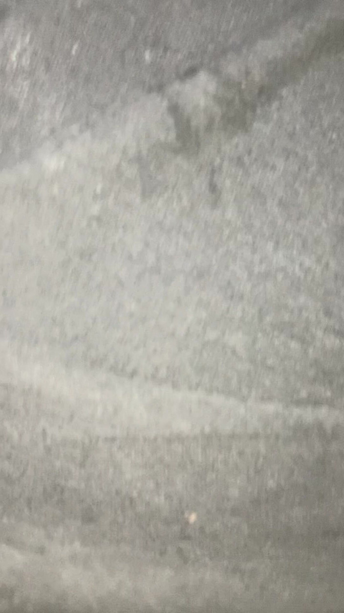 Big D raven: アリスが私の巨大なペニスに乗って