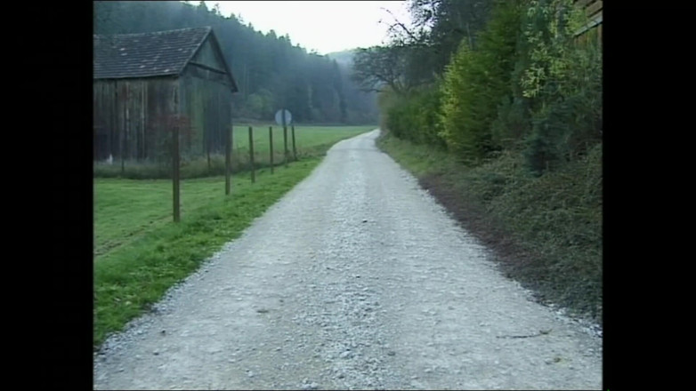 MUSCHI TV - our best full movie: Возбужденная милфа-брюнетка с волосатой киской сосала большой жесткий член, прежде чем он трахнул ее