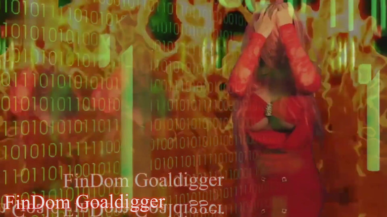 FinDom Goaldigger: Dumb slut transformation