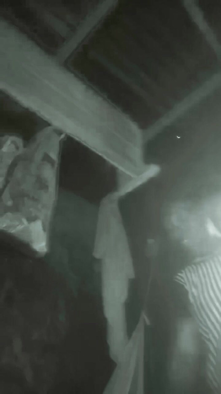 Oladi plenty tv: To najlepsza świeża cipka, jakie widziałem