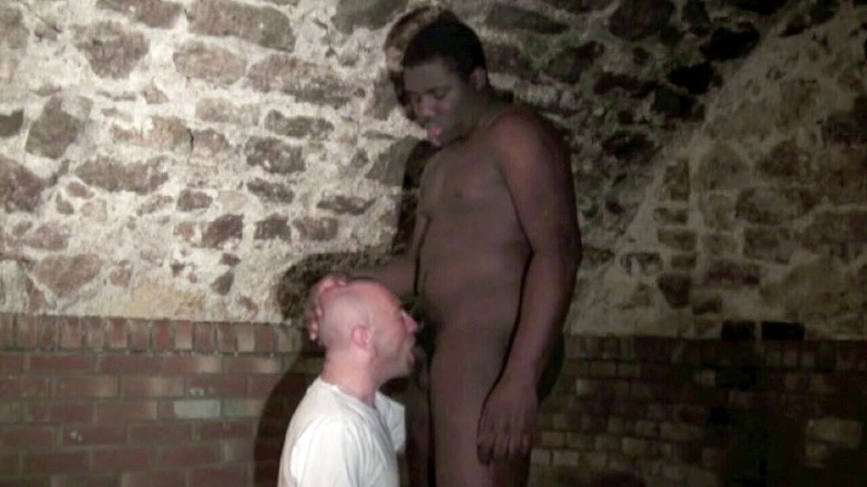 Jess Royan XXX: Jess se fait baiser par une black avec une bite...