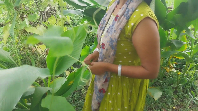 Pooja raniji: Indian Forest Garden Nearby My House Garden Out Side Hot...