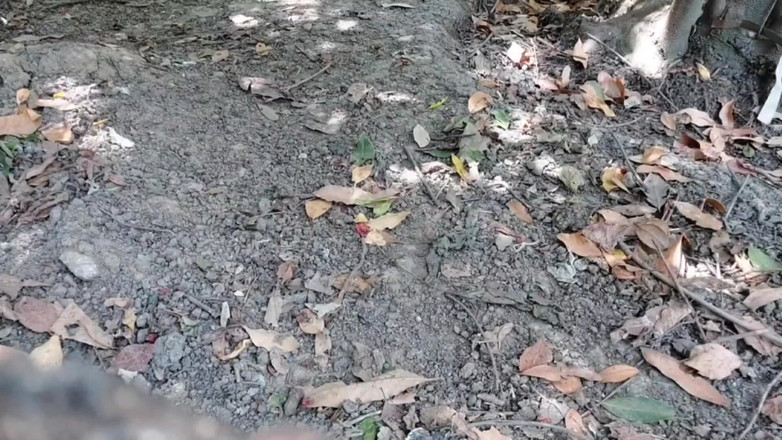 Kitty_Cross: Kika-a-boo trosor