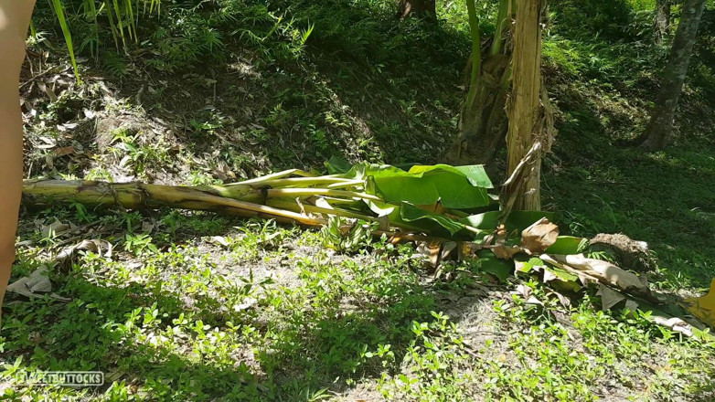 SweetButtocks: Naked photo session in the jungle