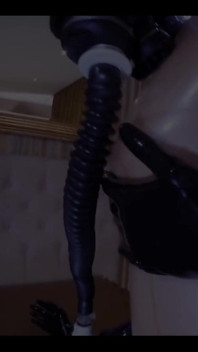 2809730617