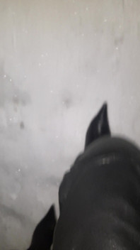Pointy Boots in Snow