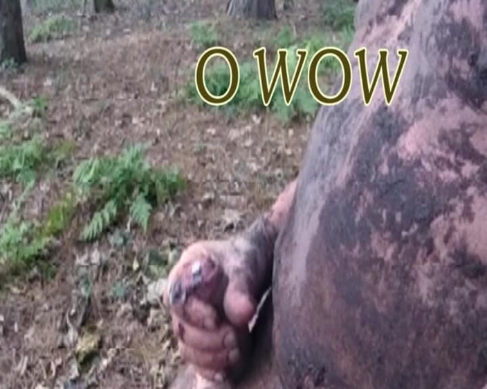 Andy: Partea 3 - Joc murdar în pădure