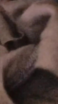 Fuck in Bedroom