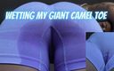 AnittaGoddess: Wetting my giantess camel toe
