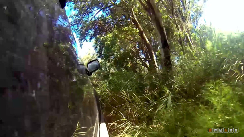WWMAMM: Redhead with tattoos and pierced nipples getting fucked in woods