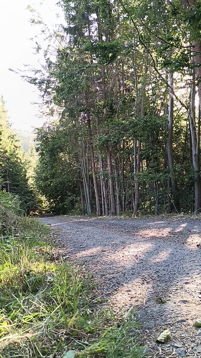 kickerscooter: Skuter jeźdźca na zewnątrz masturbacja