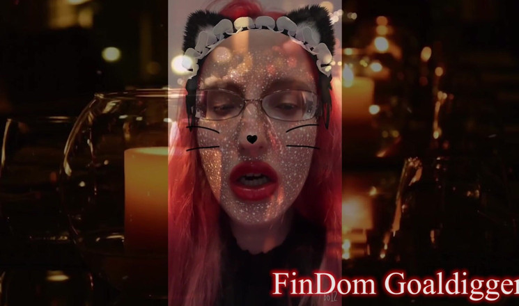 FinDom Goaldigger: Cat shemale princess transformation