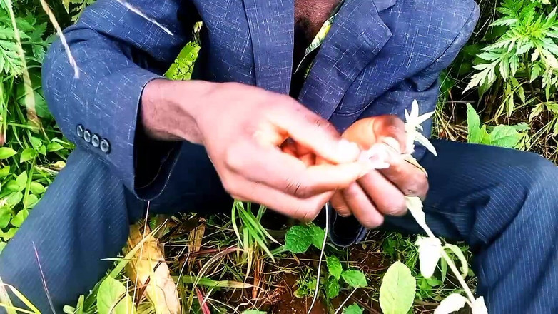 Judith xxx: 새로운 사랑에서