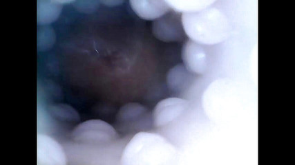 Harlo_salem: Closeup interno, brinquedo de foda