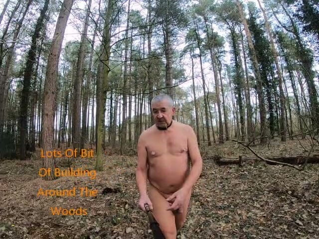 Andy: Sexo walk round woods 2