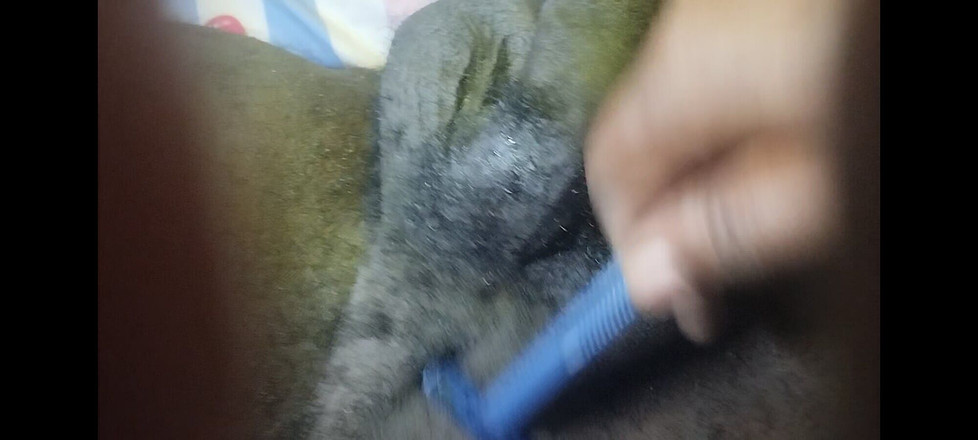 Jolly dragon3: 一对夫妇的剃毛由妻子 bigapostrophe68 在周六