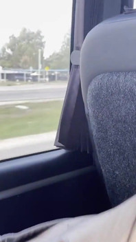I Sucked It on the Bus