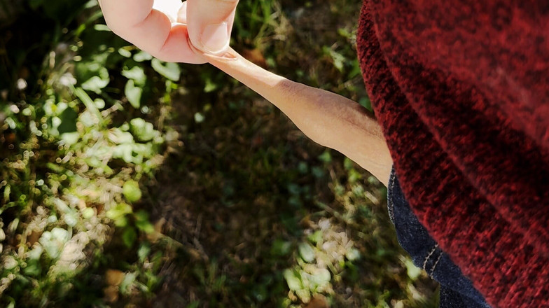 Wichskumpel: Hrajte si s mým malým nesestříhaným ptákem