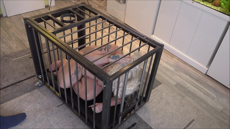 Sex and BDSM Slaves by her Master: Sex Slave Used for My Pleasure