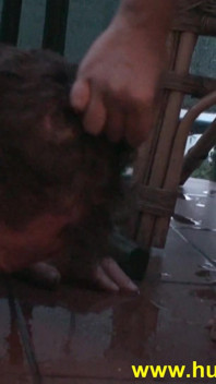 Brat Teen Humiliate Slave Joschi to Eat Her Cigarettes