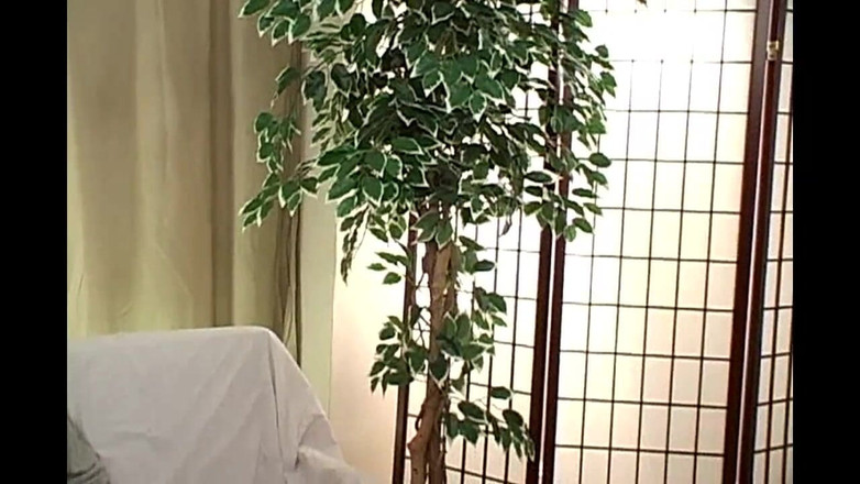 American Idol X: Krásný velký zadek dostane sperma na její kozy