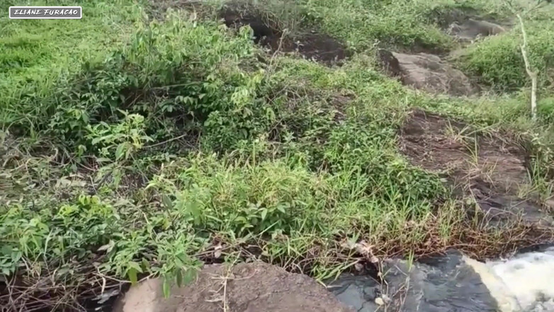 Eliane Furacao: 我们找到了一个不寻常的地方与天赋异禀的negao发生性关系。