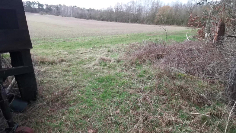 Bouncy Tits Action: Schiaffi vagina e tette nel bosco