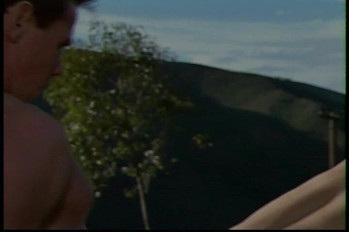 Perfect Porno: Dikke slet had buitenshuis seks