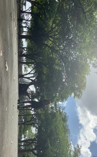 Baby Soles: Cómo hago los calcetines apestosas