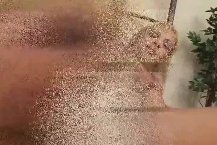 Planet Shemale: Wild Hot Transgenders Vol.2