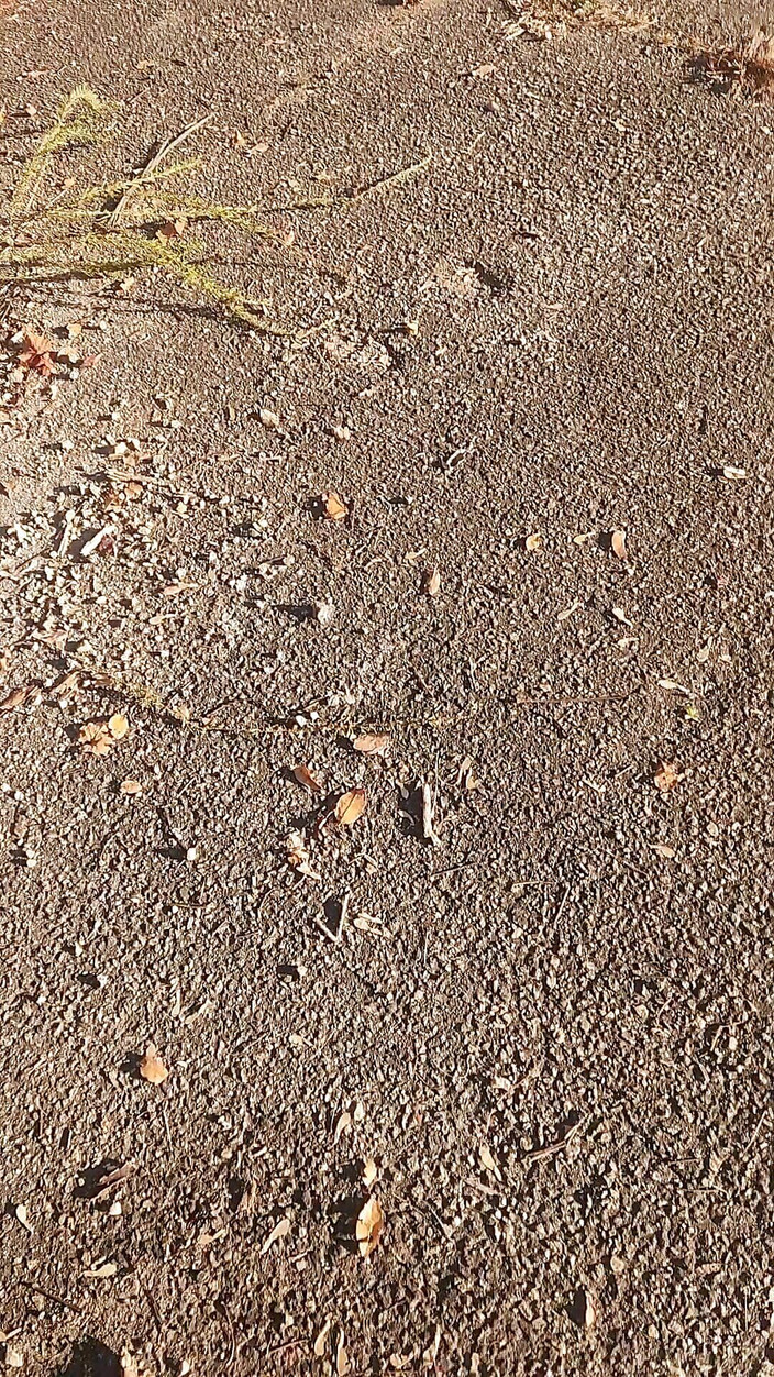 Djk31314: Camminando vicino all'autostrada