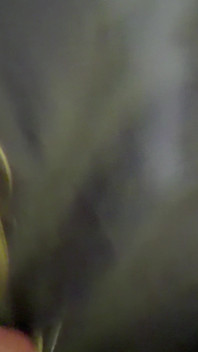 Hear Her Admit That She's Daddy Bitch