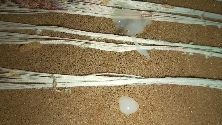 Masturbator emmy: Ohne Deine Freundin Kannst Du Immer Noch Spaß Haben: Hier...