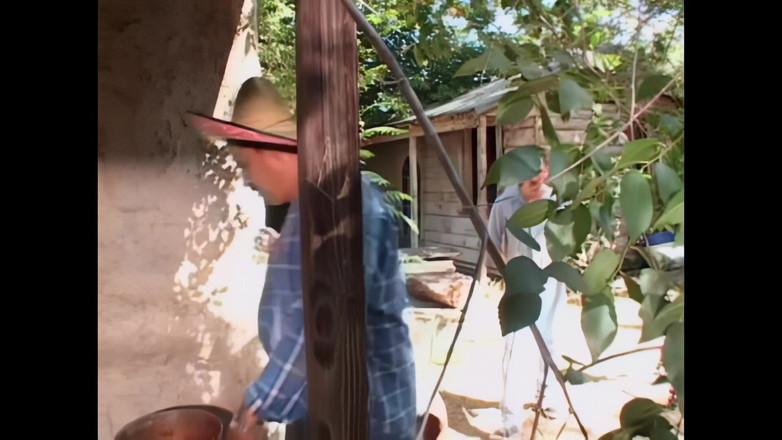 Blitzporn: Melody Max: Ung, Stora Naturliga Bröst, Ivrig Efter Orgasm