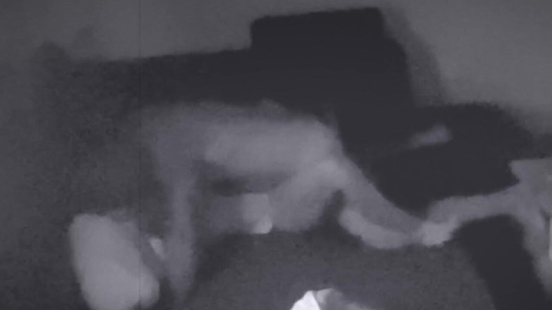 Lusty Mommy and Dirty Daddy: Prova, telecamera di sorveglianza film moglie infedele con il vicino