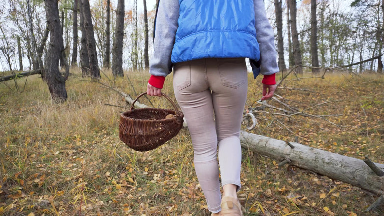 Teasecombo 4K: Milf en pantalones ajustados recogiendo setas en el bosque fetiche...